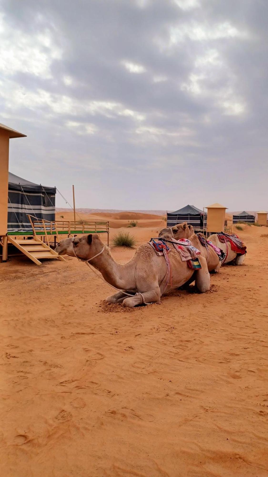 Sunrise Desert Local Private Camp Badīyah 외부 사진